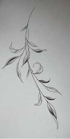 a drawing of a branch with leaves on it