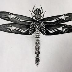 a black and white drawing of a dragonfly