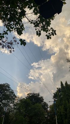 the sky is very cloudy and there are many power lines in the foreground with trees on either side