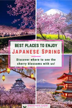 spring japan travel Travel In Japan, Japan Travel Destinations, Spring In Japan, Japan Spring, China Travel Destinations, Food To Eat, Japan Itinerary, Japan Travel Tips, Japan Travel Guide