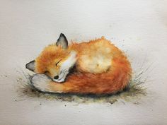 a watercolor painting of a fox sleeping on the ground with its head resting on it's tail