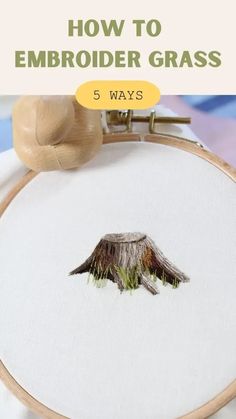 an embroidery project with the text how to embroider grass 5 ways