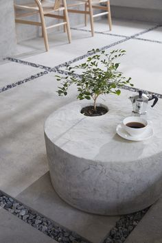 a coffee table with a potted plant on it and two chairs in the background