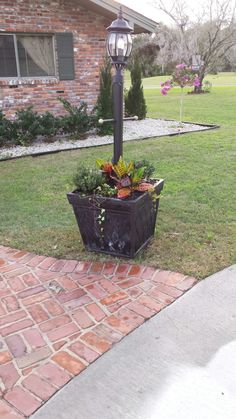 a potted plant sitting on the side of a brick walkway in front of a house