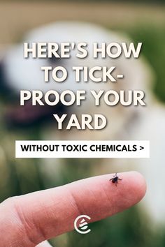 there's how to tick - proof your yard without toxic chemicals and other pests