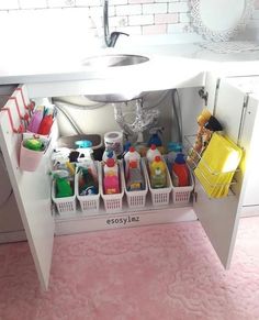 a kitchen sink filled with lots of cleaning supplies