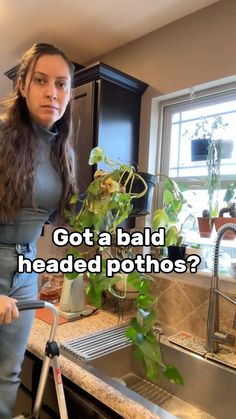 Krystal Duran | My bald headed pothos needed some help! If you want the grow light shown, comment “Clamp” and the link to it will be sent to your DM’s... | Instagram