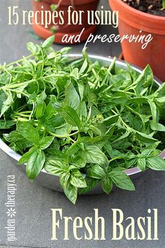 fresh basil in a metal bowl on top of a table next to potted plants