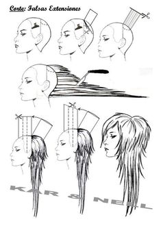 Hair Illustration, Haircut Straight, Long Wolfcut Haircut, Bangs Curly, Wolfcut Haircut, Long Wolfcut, Haircuts For Wavy Hair, Long Layered Haircuts, Wolf Cut