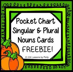 a sign that says pocket chart singular and plural noms cards freebie