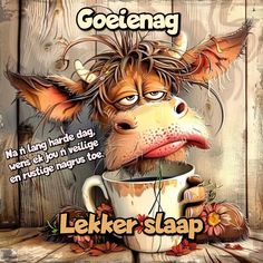 Goeienag boodskap. Goeienag lekker slaap boodskap. Goeie nag prentjie. Afrikaanse goeie nag boodskap.
Afrikaans good night messages.
Goeienag wense.
Lekker slaap wense.
Lekker slaap memes.
Good night memes.
Goeienag memes.
Funny cow images and wallpaper.
Funny cow images and pictures.
Funny cow memes. Rustige Nagrus, Goodnight Messages, Good Night Quotes Images, Goodnight Wishes, Afrikaans Language