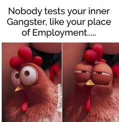 two pictures of a chicken with the caption nobody tests your inner gangster, like your place of employment