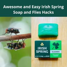 an image of two flies on a branch and one is green with the words, awesome and easy irish spring soap and flies hacks