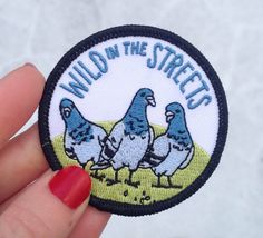 a hand holding a patch that says wild in the streets with three pigeons on it