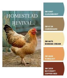 the color scheme for this chicken is brown, blue, and white with words that read homestead revival