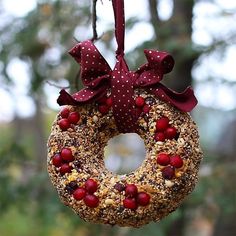 a bird feeder hanging from a tree filled with birdseed and cranberry toppings