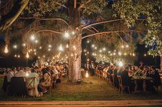 an outdoor dinner under a tree with lights strung from the branches and people sitting at tables