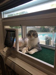 a cat laying on top of a window sill next to a green mat covered floor