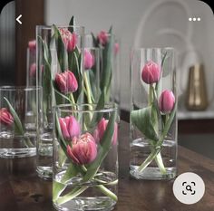 pink tulips are in glass vases on a table