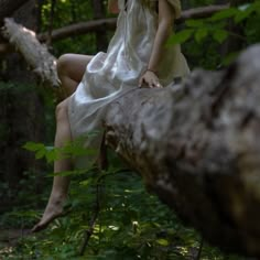 a woman in a white dress sitting on a tree branch and posing for the camera