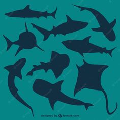 the silhouettes of sharks are shown in blue and green colors on a turquoise background