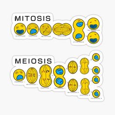 two stickers with different types of mitos and their corresponding body parts on them