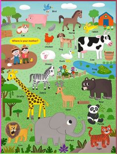 a poster with animals and other things in the field, including zebras, giraffes, elephants, lions, and more