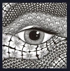 an eye is shown in black and white, with the image of a lizard's head