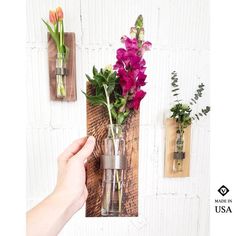 a hand holding a vase with flowers in it on a wooden wall mounted shelf next to two flower pots