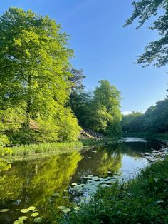 a river surrounded by lush green trees and water lilies