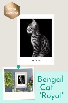 a cat sitting on top of a table next to a framed photo and the words bengal cat'royal '