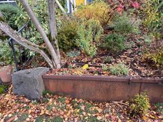 a garden filled with lots of different types of flowers and plants next to a tree