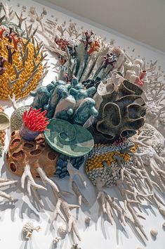 several different types of corals and seaweed on a white table top with other items