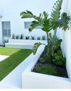 a planter filled with lots of green plants next to a white wall and grass