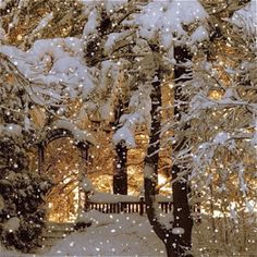 snow falling on the ground and trees in front of a house with lights shining through them