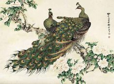 two peacocks are sitting on a tree branch with white flowers in the foreground