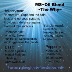 Why the MS Oil Blend helps! Young Living distributor #1649811 #yleogoodvibrations Lower High Blood Pressure, Helichrysum Essential Oil, Doterra Oil, Essential Oils For Pain, Doterra Essential Oils Recipes, Durban South Africa, Yl Oils, Yl Essential Oils, Kitchen Installation