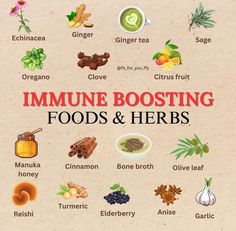 Boost your immune system with these nutrient-rich foods! Citrus fruits like oranges and grapefruits are packed with vitamin C. Leafy greens such as spinach and kale provide essential vitamins and antioxidants. Nuts and seeds, especially almonds and sunflower seeds, offer vitamin E, which is crucial for immune function. Garlic and ginger have natural anti-inflammatory and immune-boosting properties. Incorporate these power-packed foods into your diet to enhance your overall health and fortify your immune system.#immunesupport #immuneboosting #immunehealth #immuneboostingfoods #boostyourenergy #tonicgreens #usa #canada #uk How To Build Your Immune System, Immune Vitamins, Immunity Foods, Build Immune System, How To Boost Your Immune System, Herbal Remedies Recipes, Immune Boosting Foods, Garlic And Ginger, Healthy Plan