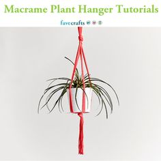 the macram plant hanger is hanging from a red rope with an air plant in it