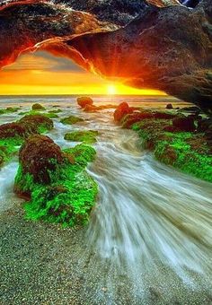 two pictures of water and rocks with the sun setting in the background, one has green moss growing on it