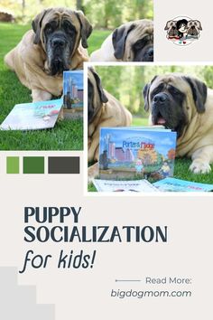 a dog laying on top of a lush green field next to a book with the title puppy socialization for kids