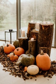 pumpkins and candles are arranged on the floor in front of a large glass window