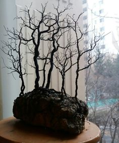 there is a rock with trees on it in the window sill next to a building