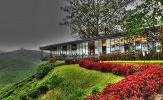 a house on top of a hill with red flowers in the foreground and green hills in the background