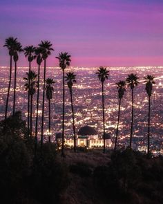 palm trees are silhouetted against the night sky in this cityscape photo taken from an overlook