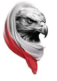 an eagle with the colors of the austrian flag