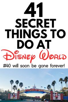 Here are a bunch of hidden and secret things to do at Walt Disney World! Some are free, some cost money, but we think you probably didn't know about most of these. Disney Fun Facts, Disney Facts, World Of Disney, Fascinating Facts, Disney Family