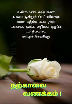 a white rose sitting on top of a wooden table next to a quote in the language of