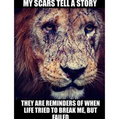 Lion Quotes, Wolf Quotes, Warrior Quotes, Tell A Story, Badass Quotes, Motivational Quotes For Life, Reality Quotes