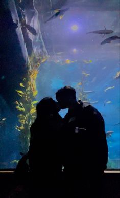 Aquarium date couple picture ideas 🐟🐠 San Francisco #aquarium #aquariumaesthetic #aquariumideas #aquariumwater #aquariumdate #aquariumdateaesthetic #aquariumpictures #aquariumpicturesideas couples goals #coupleportrait #coupleromantic  #sanfrancisco #bayarea  #pictureideas #couple aesthetic #poses  #unique Aquarium Date, Couple Picture Ideas, Date Couple, Aesthetic Poses, I Will Love You, Couple Activities